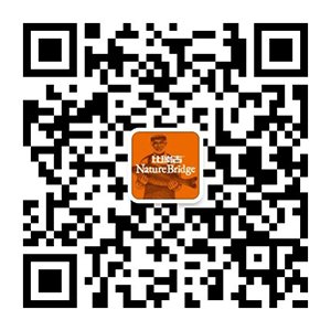 公开信息按发布时间滚动