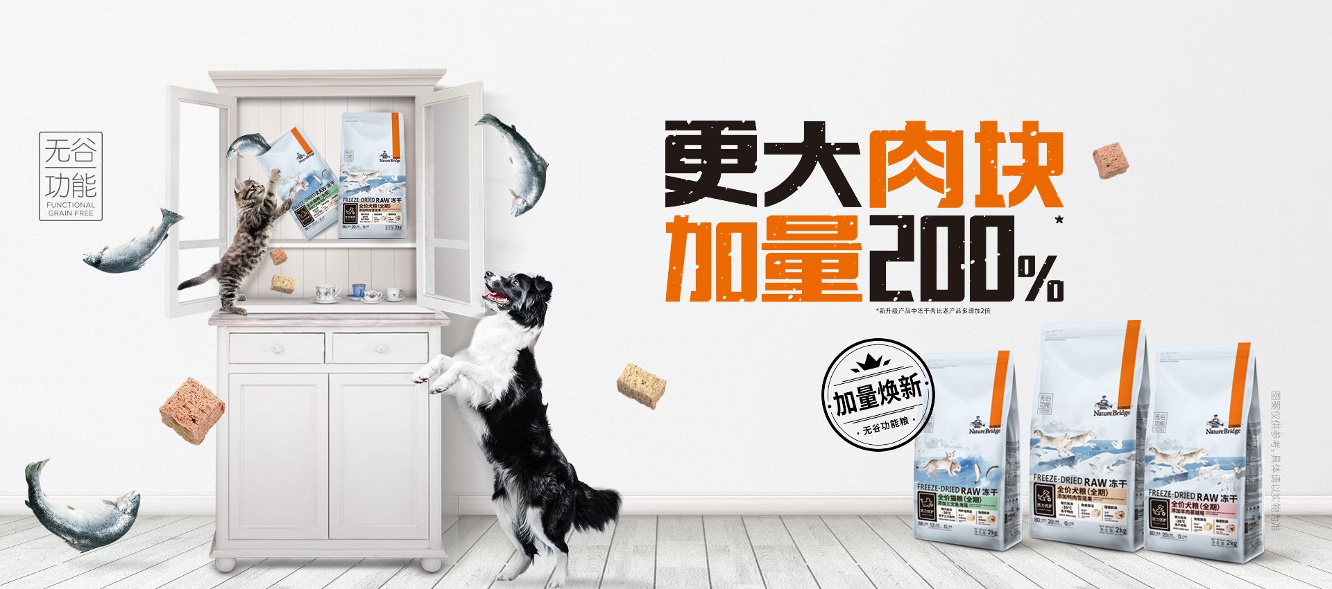 科学养宠，才能让爱宠与我们相伴更久