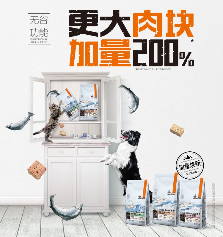 汇集了众多中外优秀人才