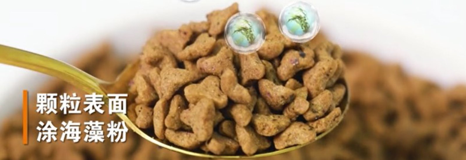 让宠物吃得既健康又开心