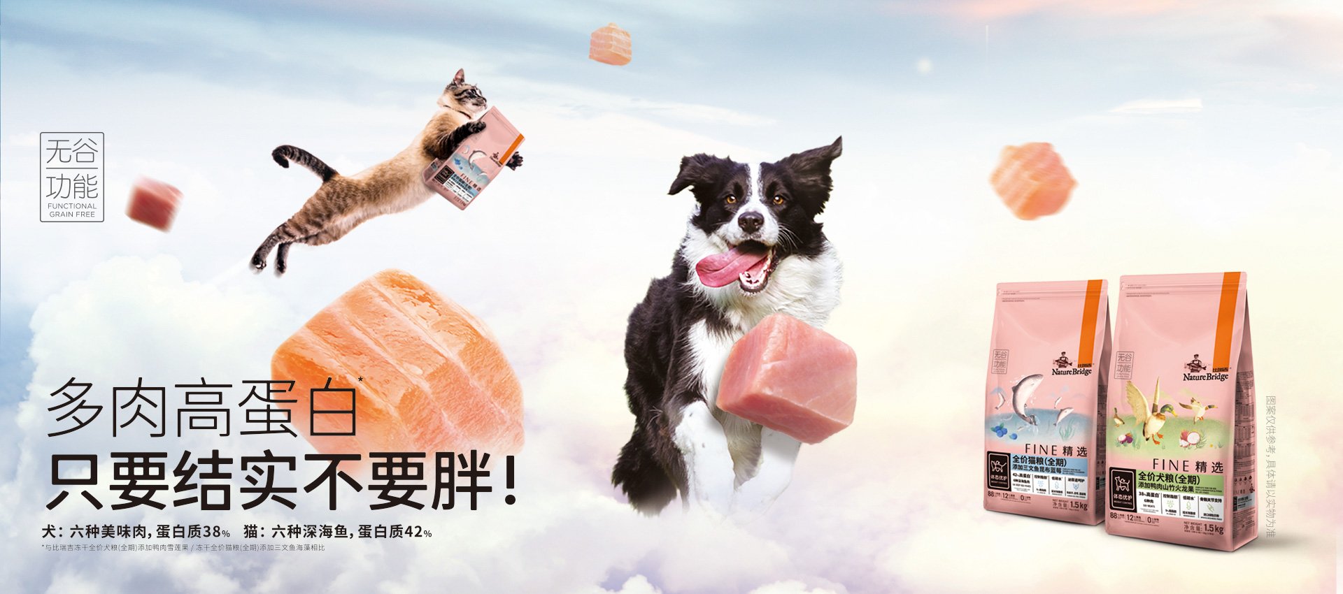 才能让爱宠与我们相伴更久