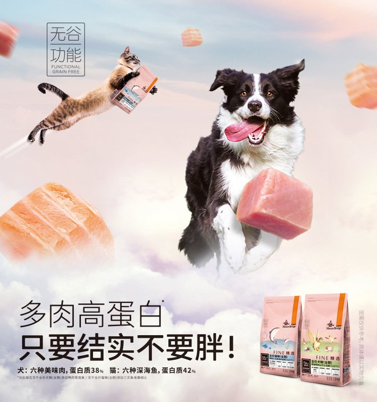 科学养宠，才能让爱宠与我们相伴更久