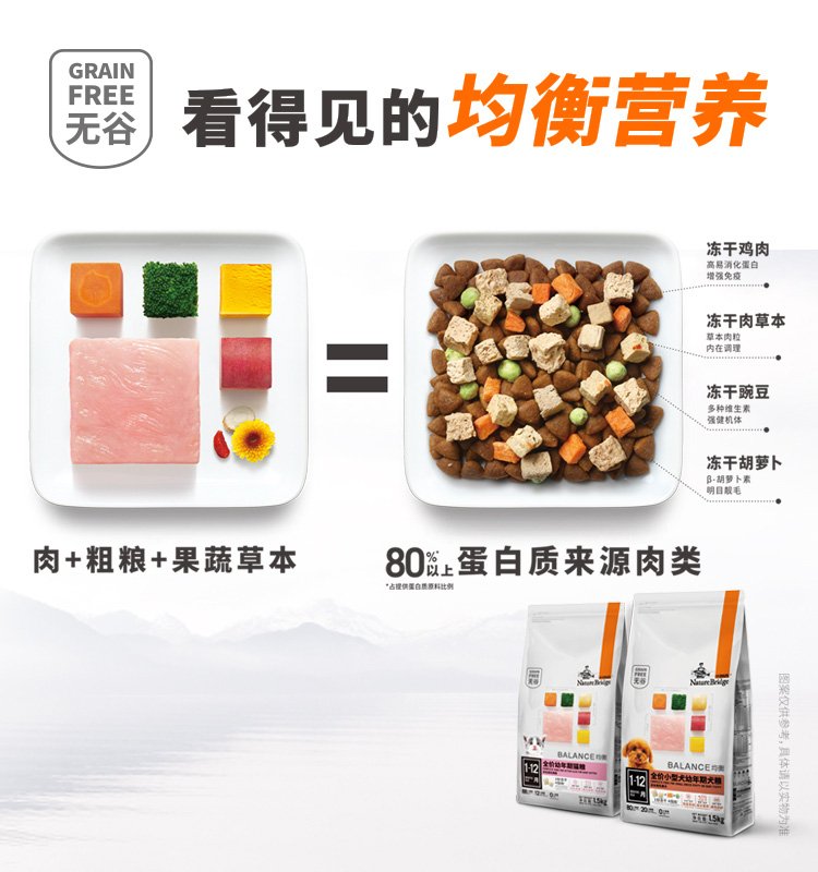 科学养宠